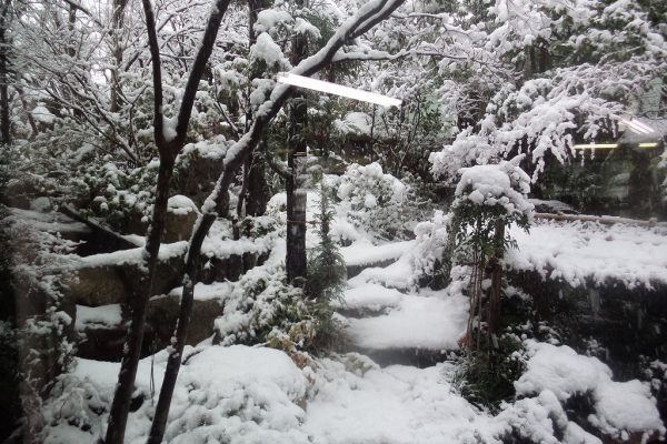事務所の庭も雪が積もりました。